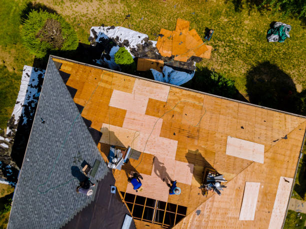 Best Metal Roofing Contractor  in Weston, OH